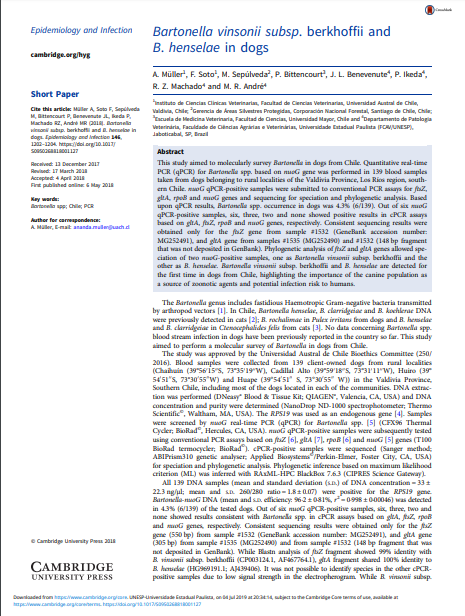 Bartonella Vinsonii Subsp. Berkhoffii And B. Henselae In Dogs